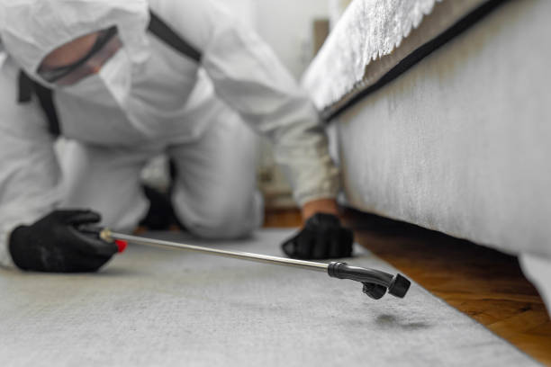 Professional Termite Control technician working in Newark, AR