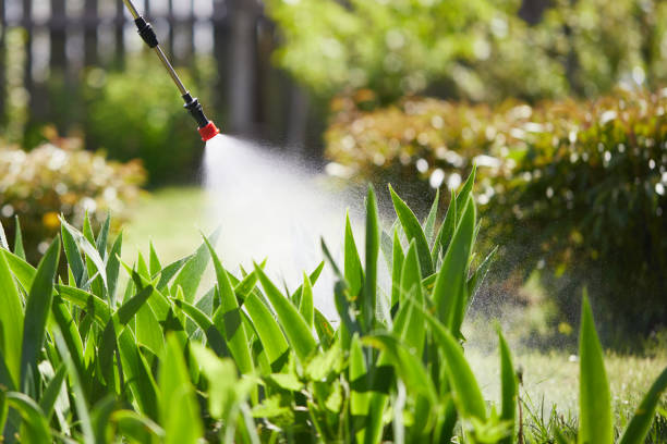24/7 Emergency Termite Control experts in Newark, AR