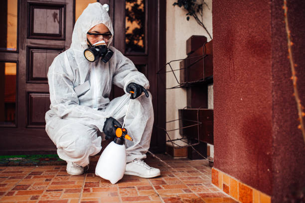 Reliable Termite Control contractor in Newark, AR by Nex Pest Control